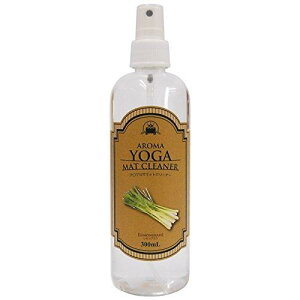 NTmnϕi K}bgN[i[ OX 300ml 