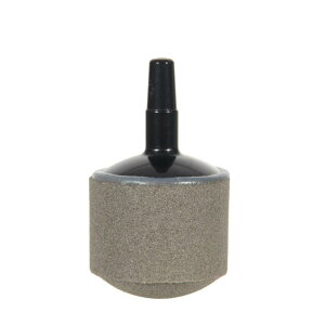 ԂGAXg[ pbP[WȂ Z~bNGAXg[  a25 180 GA[Xg[