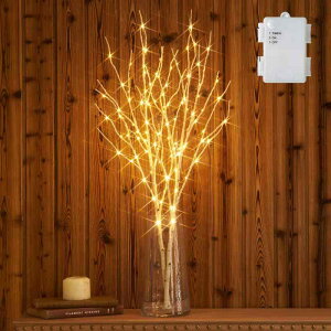 Hairui ���� 100LED �} 80cm �C���~�l�[�V���� �d�r�� �ԐڏƖ� �u�����`�c���[ �X�g�����O���C�g �I�V���� �k���� �^�C�}�[�@�\ �h�� ��(�ԕr���܂܂Ȃ�)