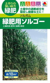 タキイ種苗 ソルガム（緑肥用） 緑肥用ソルゴー