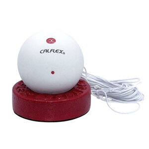 TNCf(SAKURAI) CALFLEX(JtbNX) ejX \tgejX ejXg[i[ TT-21