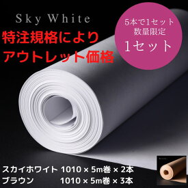 アウトレット品 カラークラフトロール 1010mm×5m×5本 (ブラウン3本 スカイホワイト2本) (アウトレット理由：規格相違) 30%OFF