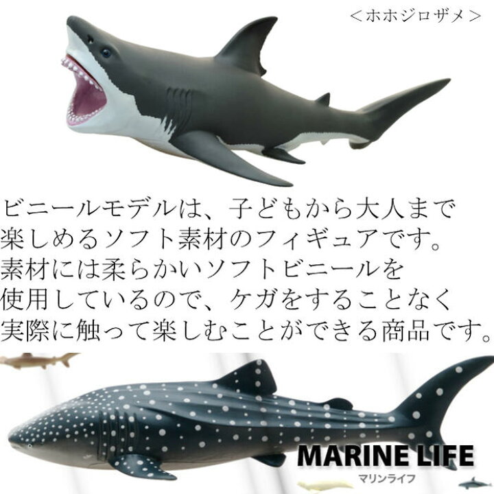 楽天市場】フェバリット ビニールモデル 海洋生物 フィギュア マンボウ マダラトビエイ シャチ ジンベエザメ ホホジロザメ アカシュモクザメ バンドウイルカ ベルーガ マンボウ マダラトビエイ ギフト プレゼント 海 アニマル 水族館 ギフト 祝い 魚 おもちゃ クリスマス ... 楽天市場】フェバリット ビニールモデル 海洋生物 フィギュア マンボウ マダラトビエイ シャチ ジンベエザメ ホホジロザメ アカシュモクザメ バンドウイルカ ベルーガ マンボウ マダラトビエイ ギフト プレゼント 海 アニマル 水族館 ギフト 祝い 魚 おもちゃ クリスマス ...