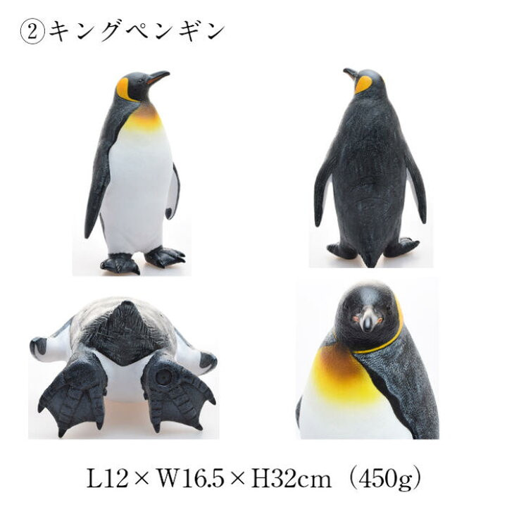 見事な創造力 フェバリット 海洋生物フィギュア ビニールモデル イワトビペンギン Rmladv Com Br 見事な創造力 フェバリット 海洋生物フィギュア ビニールモデル イワトビペンギン Rmladv Com Br