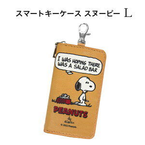 X}[gL[P[XXk[s[ L ԗpi Xk[s[ ObY J[pi J[ObY J[ANZT[ X}[gL[ fB[X 킢 LN^[  Mtg v[g 蕨 V