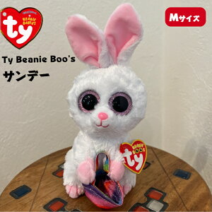 Ty Beanie Boo's Tf[ M ʂ ETM  ETM 2023N x  킢