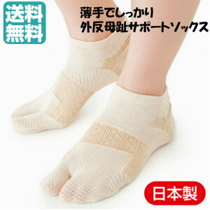 y3%ItN[|sz{   OT|[g\bNX (E1g) x[W V[g Ow Odw Od C  T|[^[  \bNX O\bN