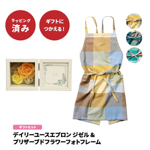 Mtg fC[[X Gv W[ vU[uht[ tHgt[ Zbg ꂳ }} Mtg bsOς MTCY Mtg v[g CeA o J[l[V L