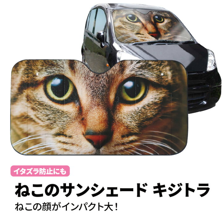 楽天市場 ねこのサンシェード キジトラ Me9 日よけ 紫外線対策 Uvケア 日焼け防止 車用品 カーアクセサリー カーグッズ カー用品 キャラクター ねこ 雑貨 かわいい 春 夏 秋 冬 車内温度 熱中症 折りたたみ コンパクト 屋外 ファミリーカー 軽自動車 Suv 海 山