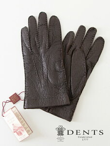 DENTS fc O[u v ybJ[ _[NuE ACjO den462002