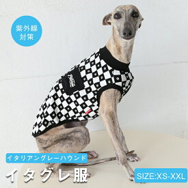 イタグレ 服 接触冷感 ひんやりトップス ハイストレッチ カットソー 夏服 Tシャツ メッシュ 犬 伸縮性 イタグレ イタリアングレーハウンド 犬服 洋服 ミニピン チェッカーボード柄 ミニチュアピンシャー サイトハウンド おしゃれ