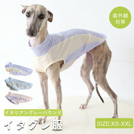 【新作登場】イタリアングレーハウンド ミニピン 服 夏服 イタグレ ペット 服 犬 服 春 夏 ナイロン ハイネック タンクトップ スポーティータンク 速乾仕様 熱中症対策 シンプル 部屋着 お出かけ ストレッチ素材 機能性素材
