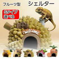 楽天市場】ガラス温室（爬虫類・両生類｜ペット・ペットグッズ）の通販