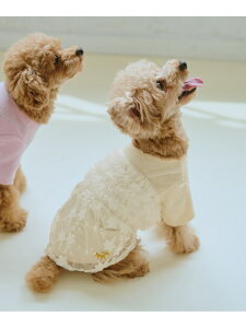 yDOGzJbghbLO`[s[X ROPE' PICNIC PASSAGE ysNjbN ybgpi ybgEFAEybg[Rakuten Fashion]