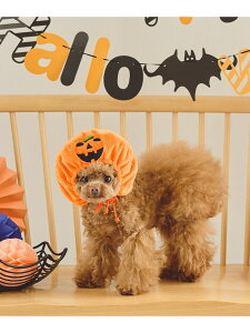 yDOGznEBڂ ROPE' PICNIC PASSAGE ysNjbN ybgpi ybgEFAEybg IW[Rakuten Fashion]