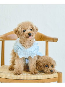 ySALE^30%OFFzyDOGzۂۂMU[s[X ROPE' PICNIC PASSAGE ysNjbN ybgpi ybgEFAEybg u[ zCgyRBA_Ez[Rakuten Fashion]