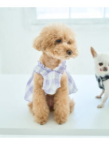 ySALE^40%OFFzyDOGzMK`FbNs[X ROPE' PICNIC PASSAGE ysNjbN ybgpi ybgEFAEybg O[ ubNyRBA_Ez[Rakuten Fashion]