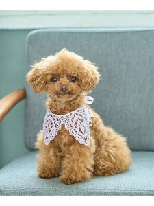 ySALE^20%OFFzyDOGz[X ROPE' PICNIC PASSAGE ysNjbN ybgpi ybgEFAEybg zCg p[vyRBA_Ez[Rakuten Fashion]