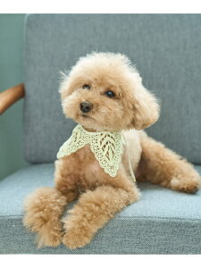 ySALE^20%OFFzyDOGz[X ROPE' PICNIC PASSAGE ysNjbN ybgpi ybgEFAEybg zCg p[vyRBA_Ez[Rakuten Fashion]