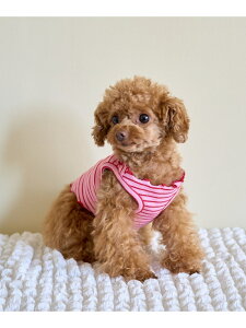 ySALE^30%OFFzyDOGz}`E{[_[gbvX/NR[f ROPE' PICNIC PASSAGE ysNjbN ybgpi ybgEFAEybg IW sNyRBA_Ez[Rakuten Fashion]