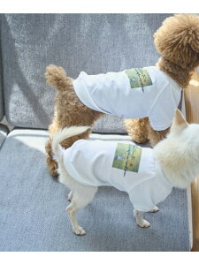 ySALE^20%OFFzyDOGzRENU/PHOTO&LOGOTVc/NR[f ROPE' PICNIC PASSAGE ysNjbN ybgpi ybgEFAEybg zCgyRBA_Ez[Rakuten Fashion]