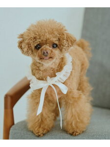 yDOGz`[X^C ROPE' PICNIC PASSAGE ysNjbN ybgpi ybgEFAEybg IW[Rakuten Fashion]