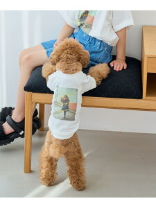 ySALE^50%OFFzyDOGzRENUtHg&STVc/NR[f ROPE' PICNIC PASSAGE ysNjbN ybgpi ybgEFAEybg zCgyRBA_Ez[Rakuten Fashion]