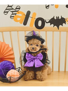 yDOGznEBZbg ROPE' PICNIC PASSAGE ysNjbN ybgpi ybgEFAEybg ubN[Rakuten Fashion]