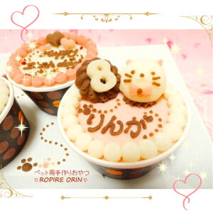 yLpP[L YzP[L@ɂRb܂×gp̃wV[XC[cOOKIaLOɂ҂IAM[ΉňS킢fRP[L1
