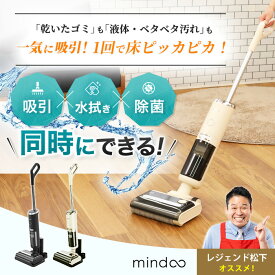 水拭き掃除機 アクアエックス じゅん散歩 テレビ朝日 テレ朝通販 ロッピング 除菌 自走式 充電式