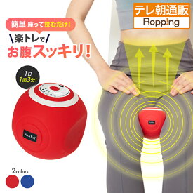 ルネサンス スポーツクラブがつくったスタイリーボール じゅん散歩 テレビ朝日 テレ朝通販 ロッピング 内転筋トレーニング ながらトレーニング 楽トレ 1回3分