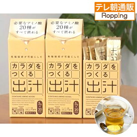 カラダをつくる出汁 ニッポンめしあがれ テレビ朝日 テレ朝通販 ロッピング 20種類のアミノ酸 カツオ イワシ 昆布 スティック