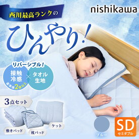 西川(nishikawa) ひんやり涼感寝具 ドリーミングアイス 3点セット セミダブル じゅん散歩 テレビ朝日 ロッピング 冷感 冷感寝具