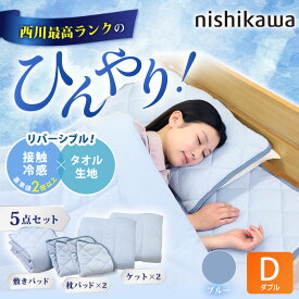 西川(nishikawa) ひんやり涼感寝具 ドリーミングアイス 5点セット ダブル じゅん散歩 テレビ朝日 ロッピング 冷感 冷感寝具