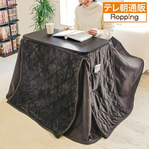 3iK߂fXNE|zcZbg er eʔ bsO