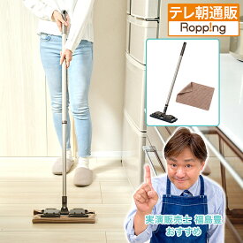 タフモッピー ブラッシュ(クロス1枚付) じゅん散歩 テレ朝通販 ロッピング 山崎産業 お掃除モップ 壁 窓ガラス 網戸