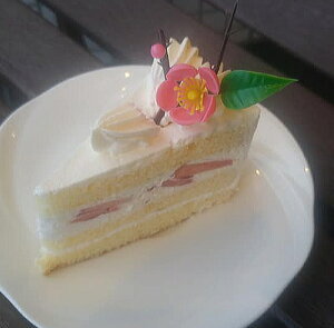 ЂȍՂ ̉ԕt N[ V[gP[L 䕃Th