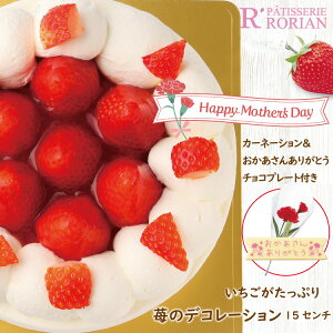 ݁I̓@䕂̃fR[V5 4`6l Xgx[ N[@J[l[V`Rv[gt@̓@aP[L o[Xf[P[L