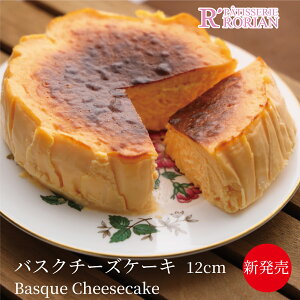  A̔ZoXN`[YP[L tXY L kiri N[`[Y yo^[gp ƂƂ cheese basuque XyC P[L XC[c v[g a mَq  yY