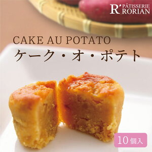 P[NEIE|egXC[g|eg̃P[L܂܈ mَq i Mtg v[g 蕨 䋟 yY wj j  ފ  َq Mtg 30 40