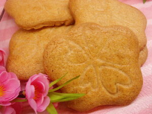 iF@󌱐XC[c@炭  Tu 1 10 20 Ԃ XC[c v[g a mَq  Mtg yY j 蕨 