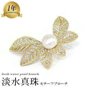 u[` 1NCۏ p[ u[` t[ `[tu[` [t {^jJ RT[W W^u[` LL v[g LO |C@y݌Ɍz