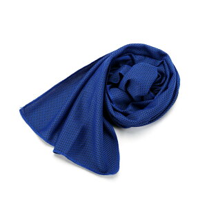 N[^I 100Zbg ʒ Ђ^I p^I MǑ΍ AEghA X|[c  M towel  M ΍ O ߓd  ₽^ y݌Ɍz