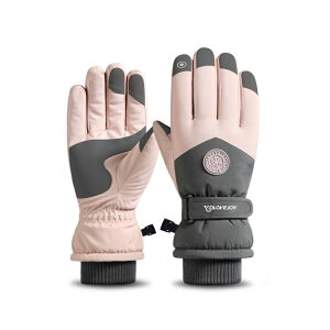 Xm[{[hO[u XL[ O[u X}zΉ  5{w Y fB[X X̒