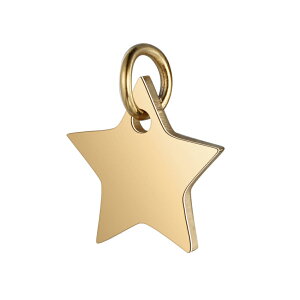 チャーム イニシャル 両面刻印 名入れ 星型 ネックレスパーツ 刻印 星モチーフ ジュエリーパーツ バッグチャーム ほし プチギフト