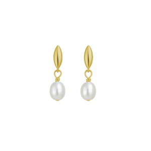 sAX zCgp[ sAX WG[ fB[X WG[ ANZT[ Mtg v[g  Ǝ w  p[eB    fB[X ڋʏi ݌Ɍ