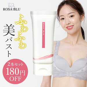 y10%OFFzoXgN[ 2{ ێN[ }bT[WN[ N[ oXgPA oXg   Y Uu[ ROSABLU