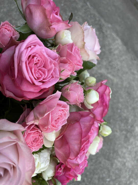 楽天市場 バラの花束 ピンクのバラ 送料無料 産地直送 敬老の日 バラの花 贈りもの 花束 プロポーズ 記念日 誕生日 出産祝い 結婚祝い プレゼント 結婚記念日 お祝い 発表会 5600円 花言葉 上品 しとやか 可愛い女性 贈答用 Rosarium 田中バラ園楽天市場店