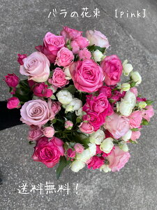 ỏԑ@sÑo@@Yn@@ỏԁ@́@ԑ@v|[Y@LO@a@oYj@j@v[g@LO@j@\@6500~@