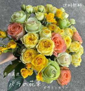 ỏԑ@@@j@ԑ@o@Yn@ỏԁ@F̃o@Ԍt@F@a@̍@P@Ď@@r^~J[@IW@F@蕨@